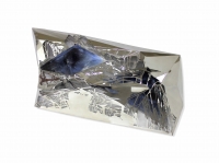 http://www.tmelissa.com/files/gimgs/th-68_Melissa Tan - Nuwa, 2019, Mirror finish stainless steel and epoxy resin, 85 x 43_3 x 12_5 cm LOWRES.jpg